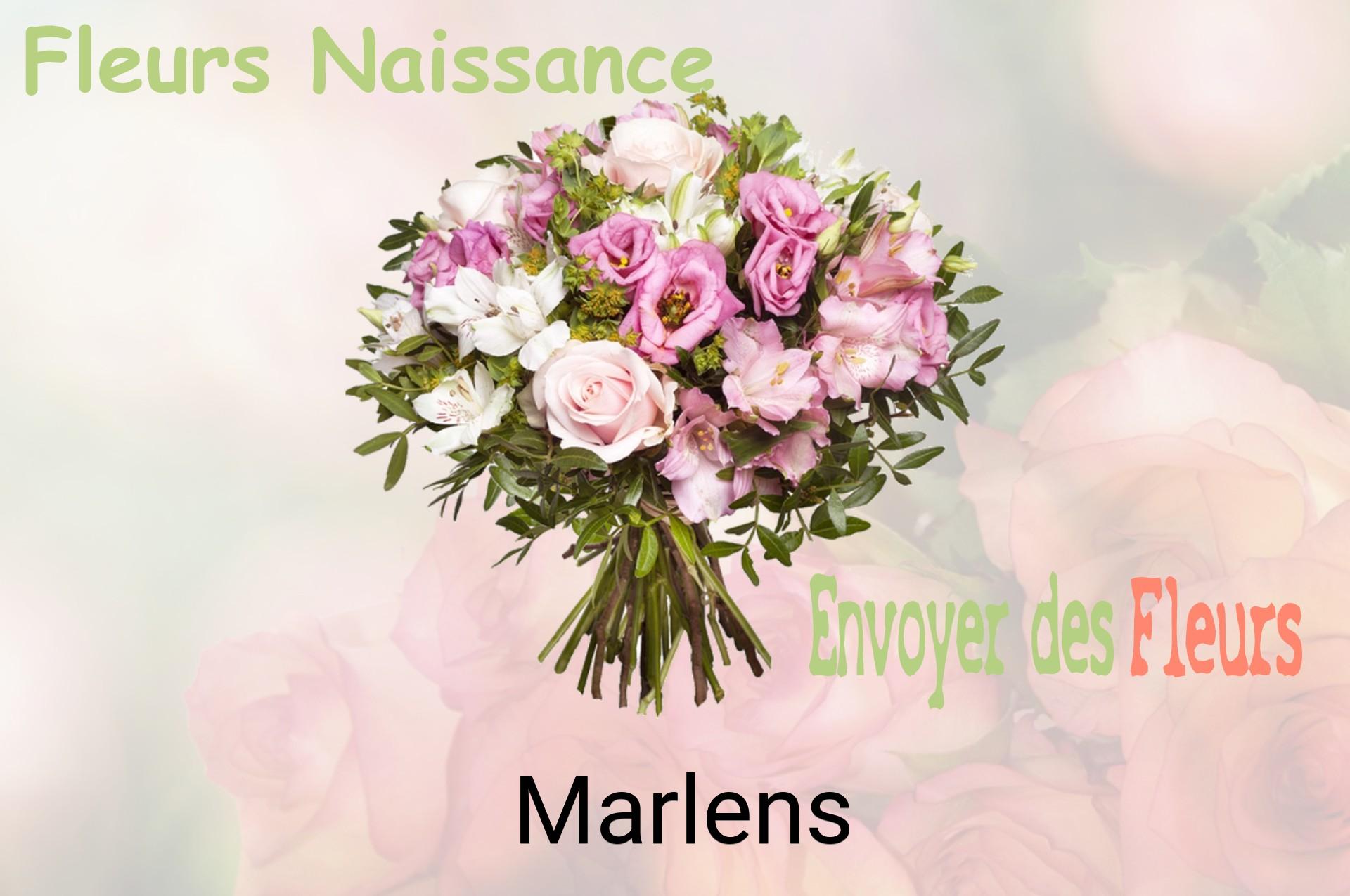 Bouquet de fleurs de naissance livré à Marlens